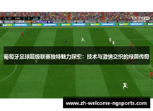 葡萄牙足球超级联赛独特魅力探索：技术与激情交织的绿茵传奇